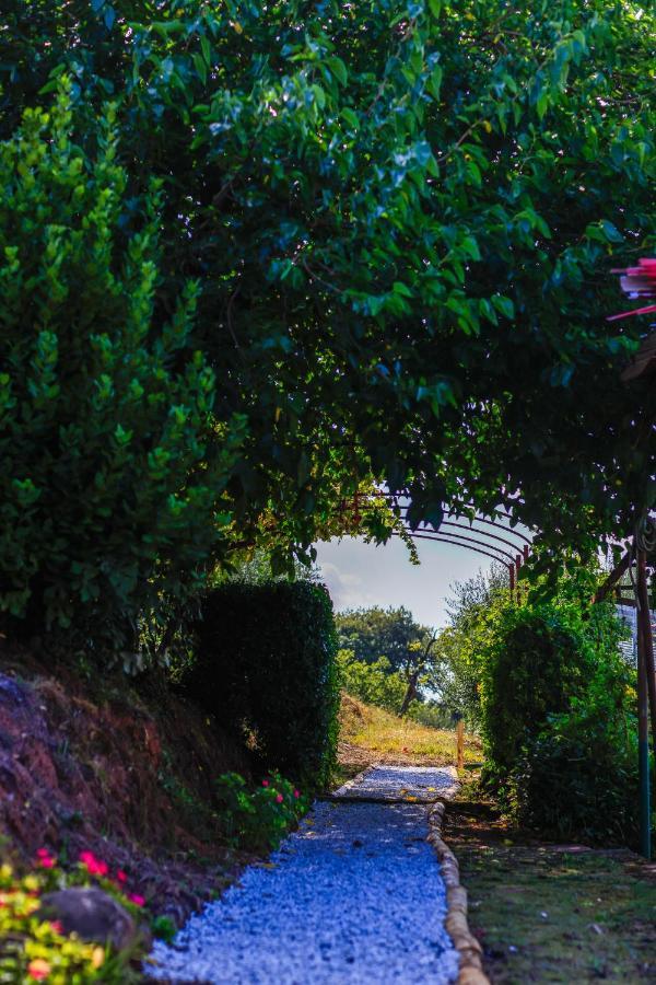Agriturismo Terra Volonteri Montecatini Terme Exteriör bild