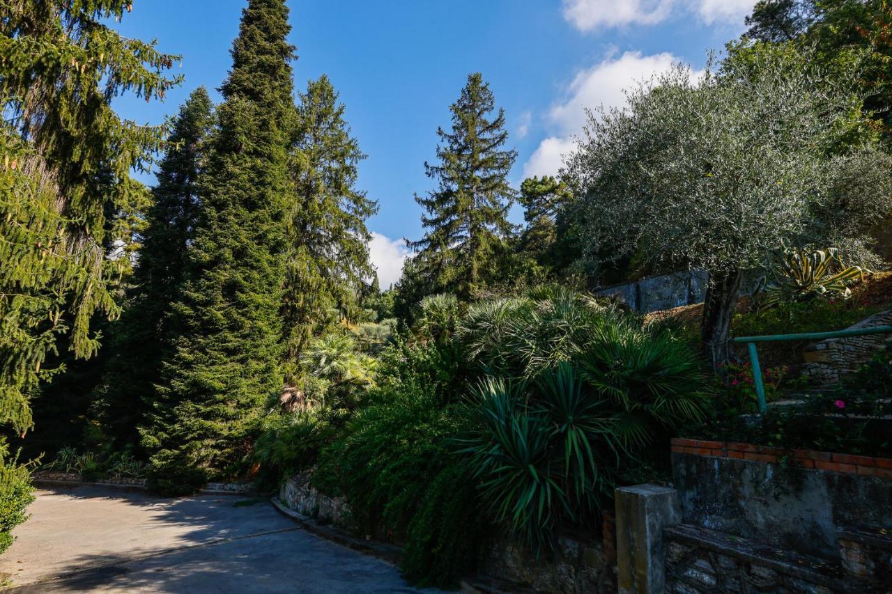 Agriturismo Terra Volonteri Montecatini Terme Exteriör bild
